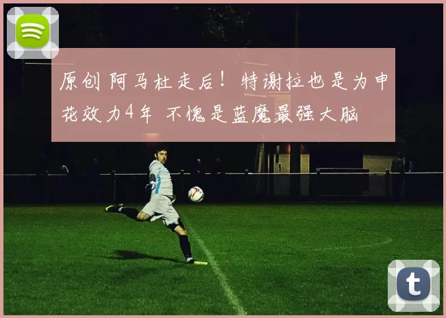 原创 阿马杜走后！特谢拉也是为申花效力4年 不愧是蓝魔最强大脑