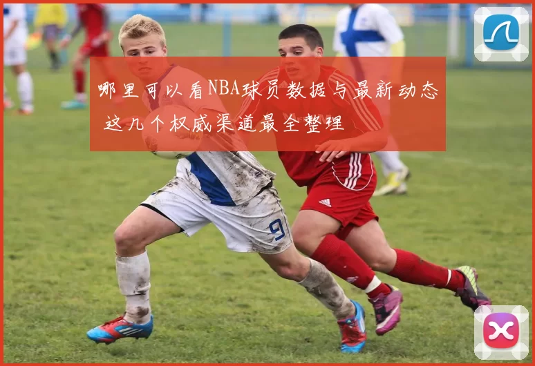 哪里可以看NBA球员数据与最新动态 这几个权威渠道最全整理