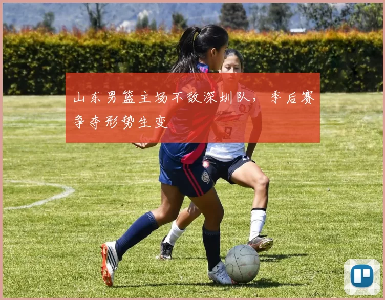 山东男篮主场不敌深圳队，季后赛争夺形势生变