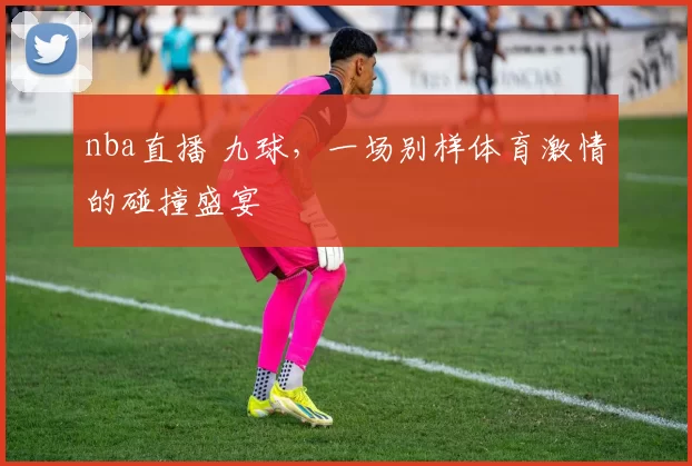 nba直播 九球，一场别样体育激情的碰撞盛宴