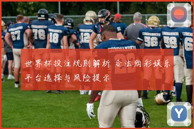 世界杯投注规则解析 合法购彩娱乐平台选择与风险提示