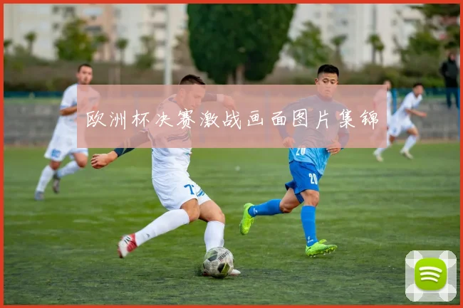 欧洲杯决赛激战画面图片集锦