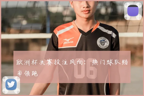 欧洲杯决赛投注风向:热门球队赔率领跑