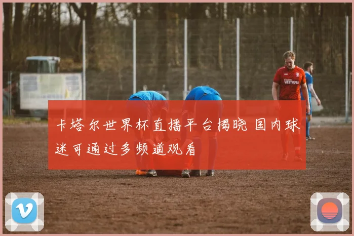 卡塔尔世界杯直播平台揭晓 国内球迷可通过多频道观看